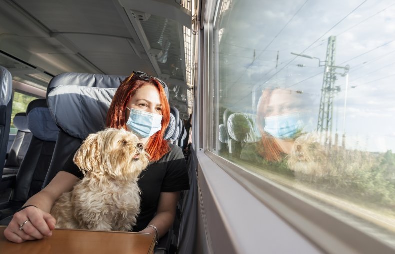 Are dogs allowed on trains