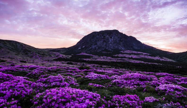 Mt. Halla on Jeju Island.