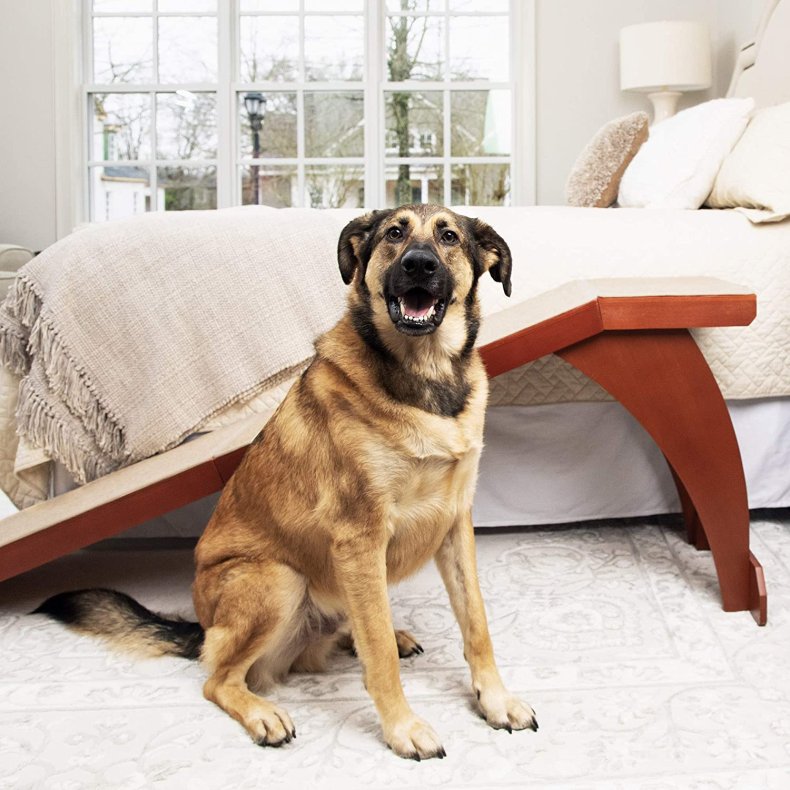 PetSafe CozyUp Bed Ramp for Dogs