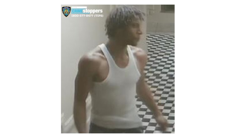 NYPD Alleged Attempted Burglary