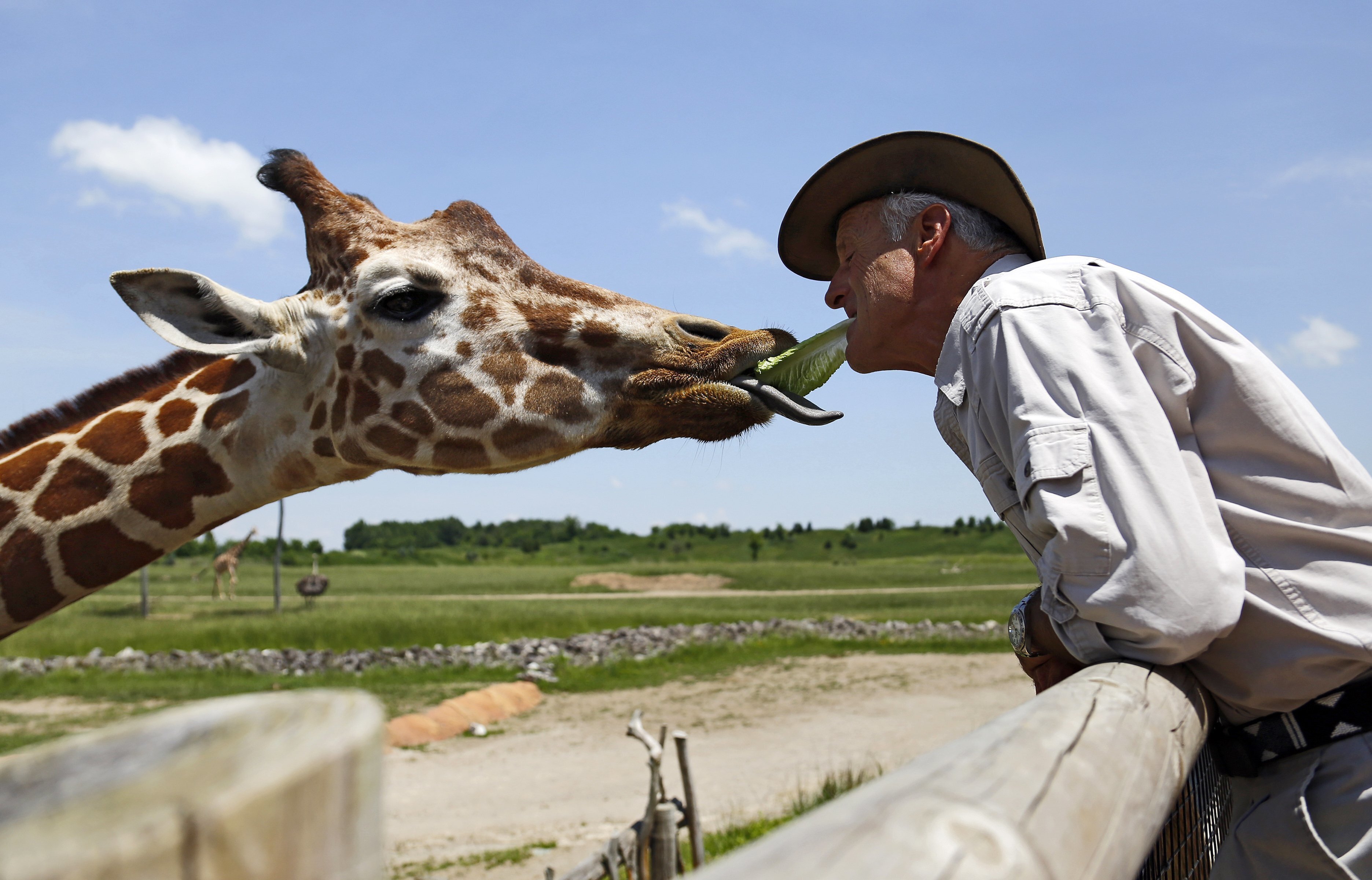 Famed Columbus Zoo Loses Accreditation Over Concerns With Leadership