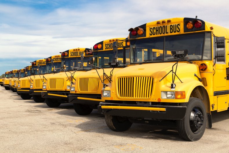 Yellow school buses parked on road