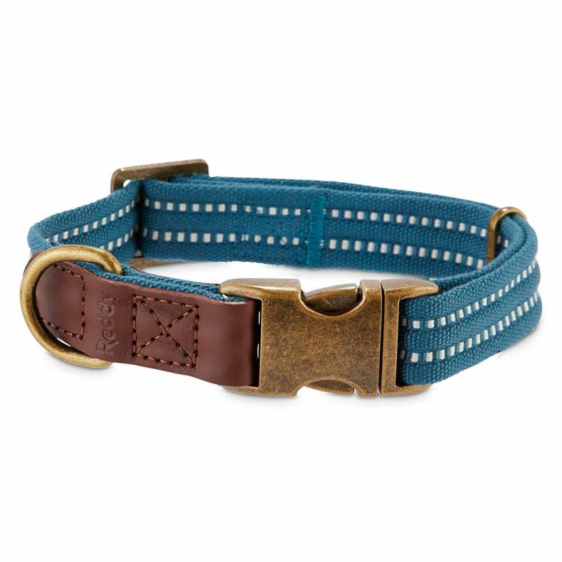 Reddy Cerulean Blue & White Dog collar