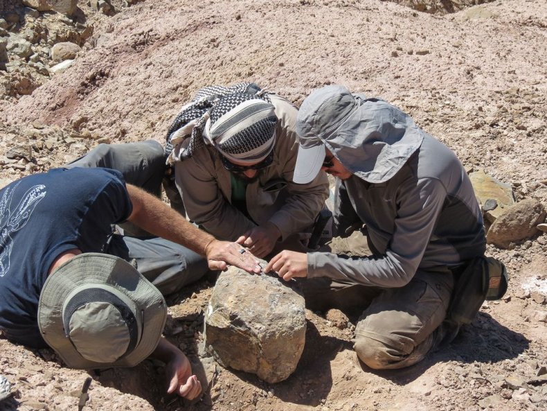 Researchers, Chile 