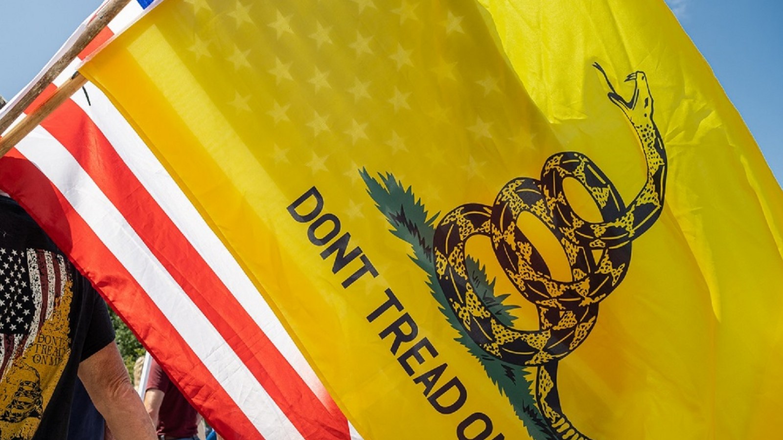 Dont Tread On Me Desktop Wallpaper