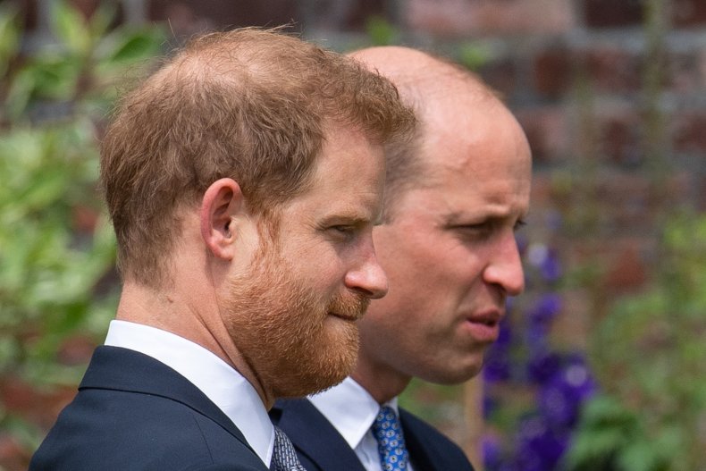 Harry and William Unveil Diana Statue