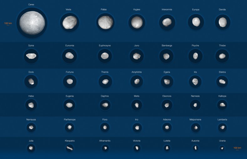42 of the largest asteroid belt objects