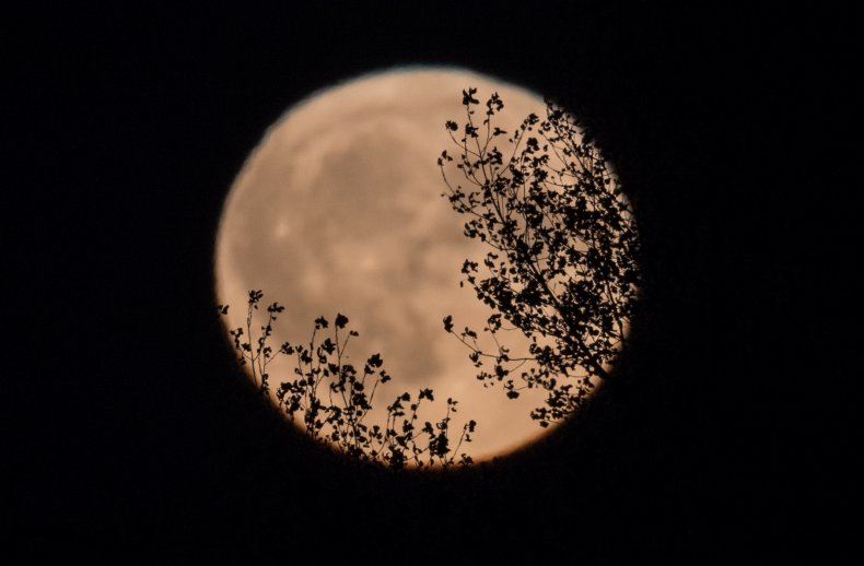 Harvest Moon