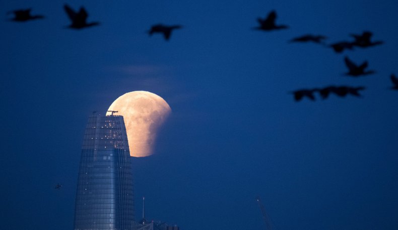 Blue moon