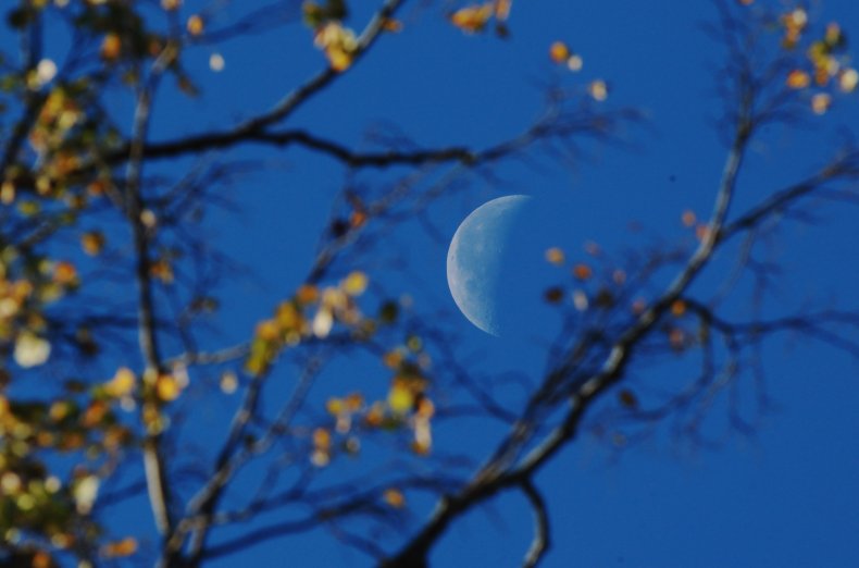 moon