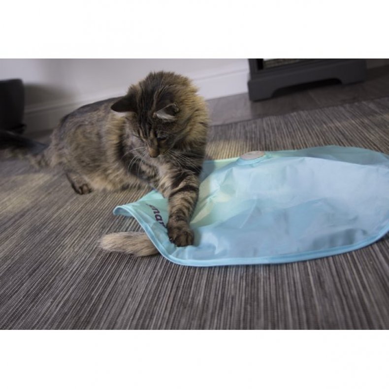 SmartyKat Hot Pursuit Electronic Motion Cat Toy