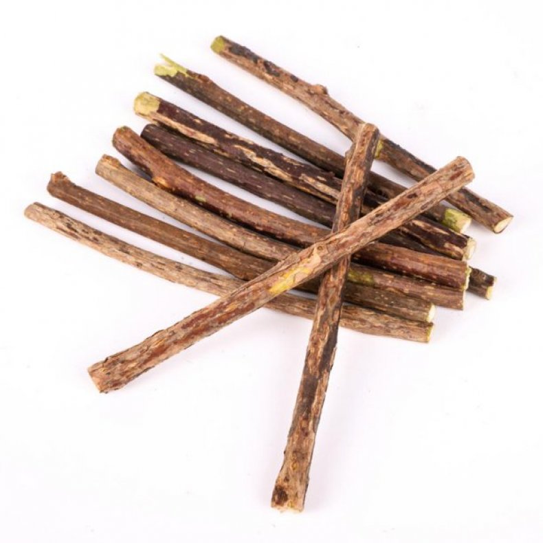 Catnip Natural Wood Polygonum Chew Sticks