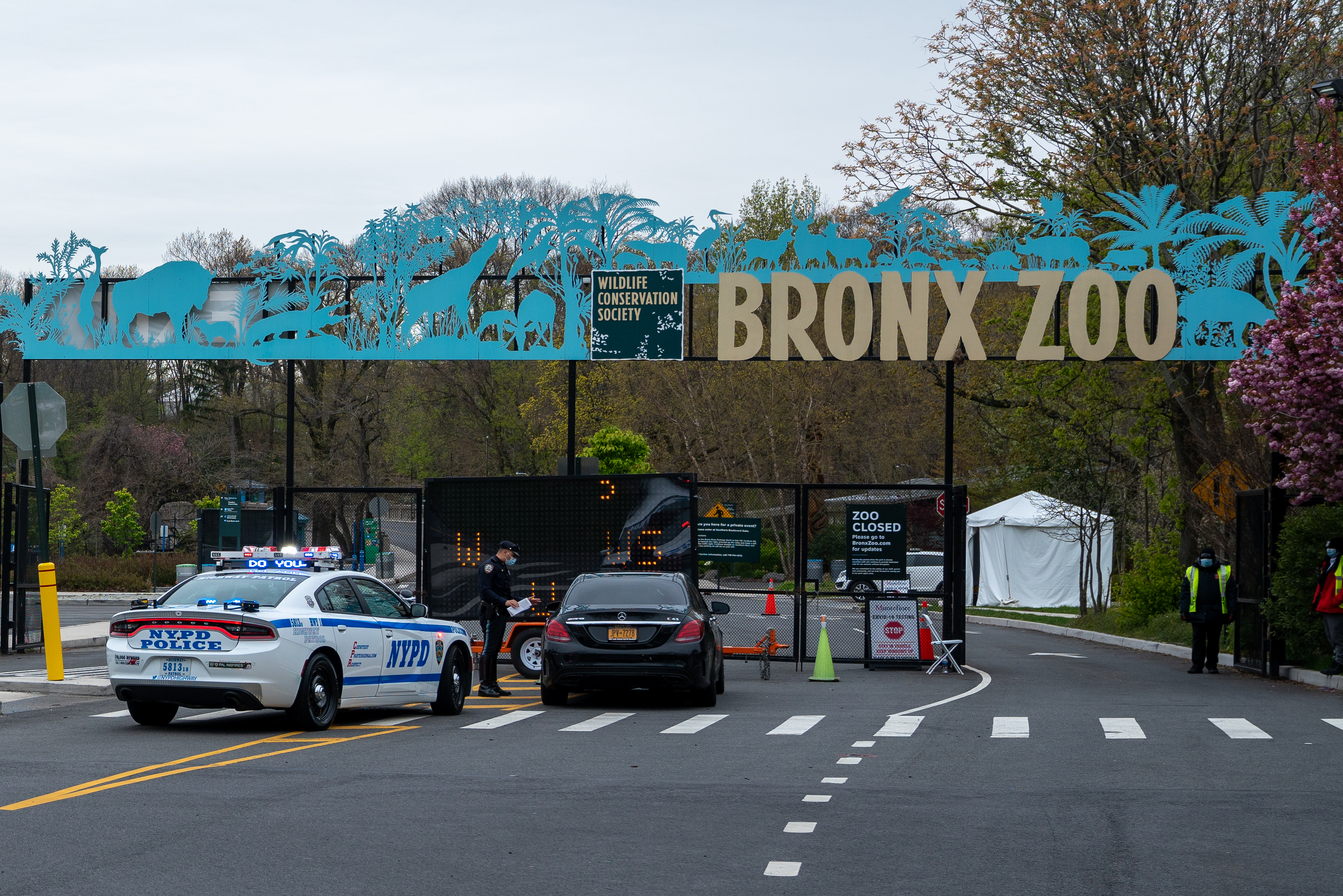 NYC Mayoral Candidate Curtis Sliwa Wants to Close Bronx Zoo Over