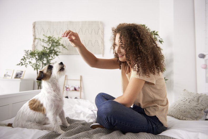 A woman training a dog with treats.