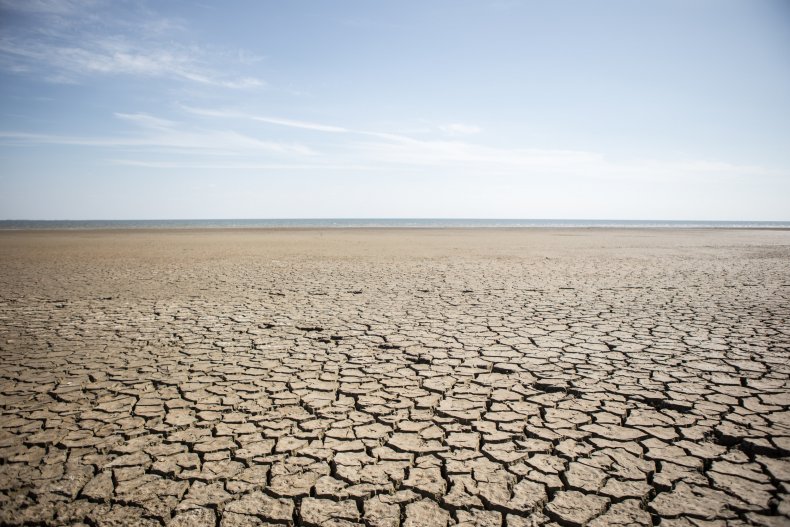 Barren Landscape