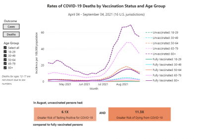 COVID-19 Deaths by Age Group COVID-19 Deaths by Age Group