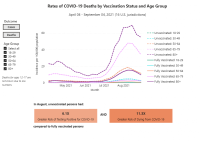 COVID-19 Deaths by Age Group