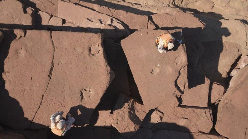 Dinosaur footprints found 