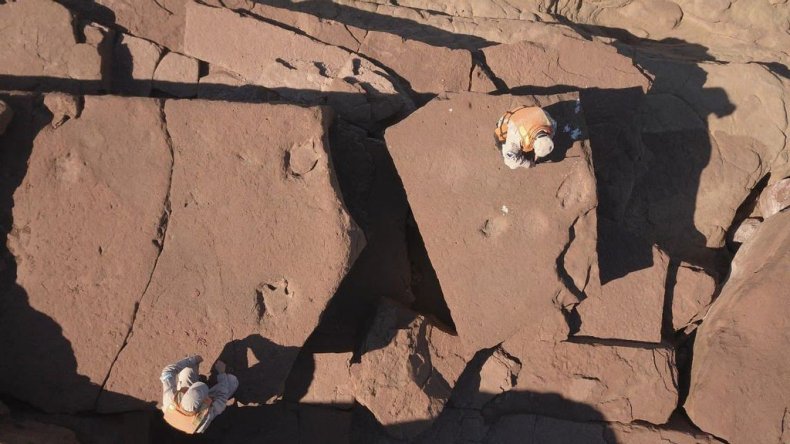 Dinosaur footprints found