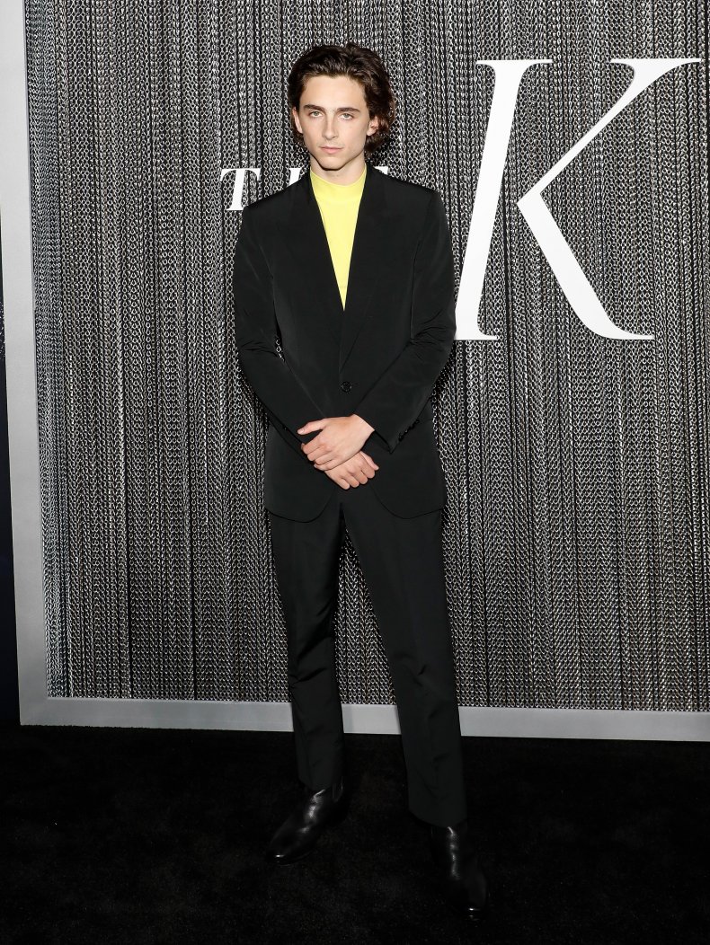 Timothée Chalamet at "The King" premiere