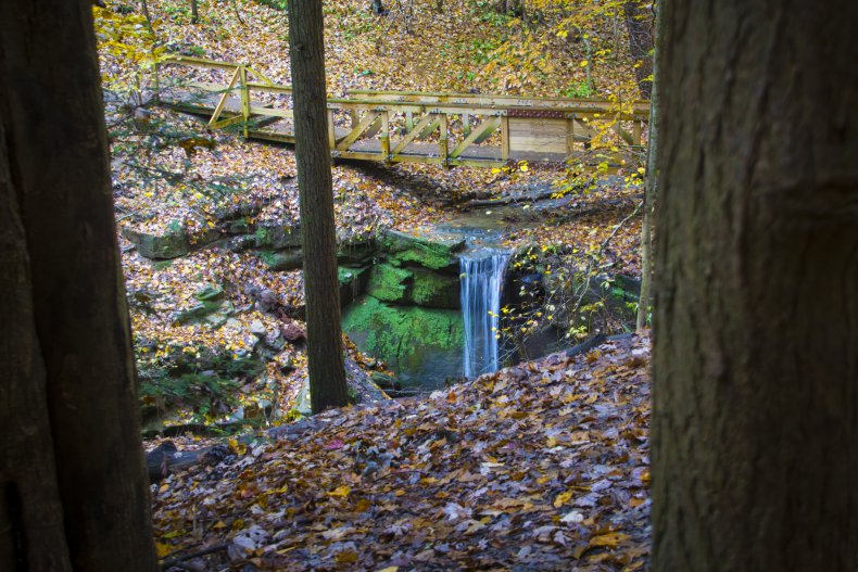 A waterfall in Mohican State Park, Ohio