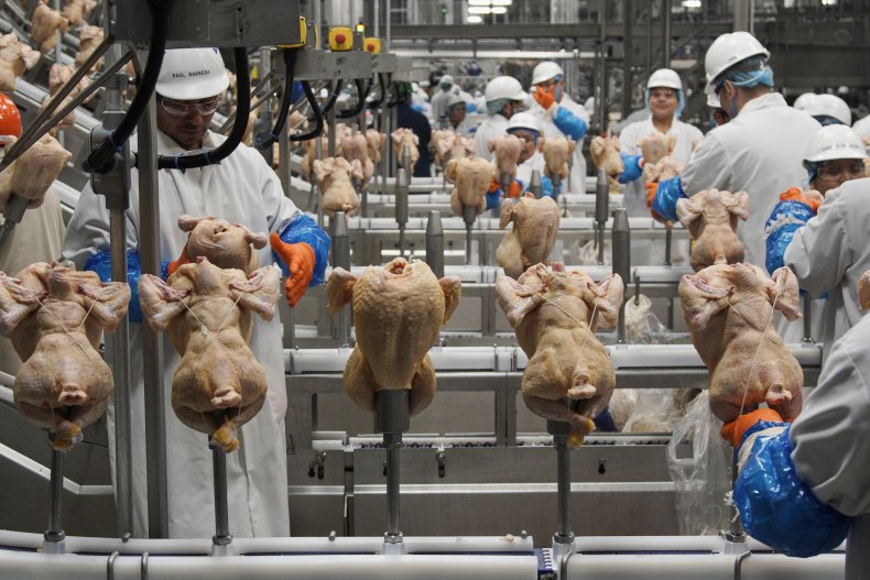 USDA Rethinking Salmonella Control
