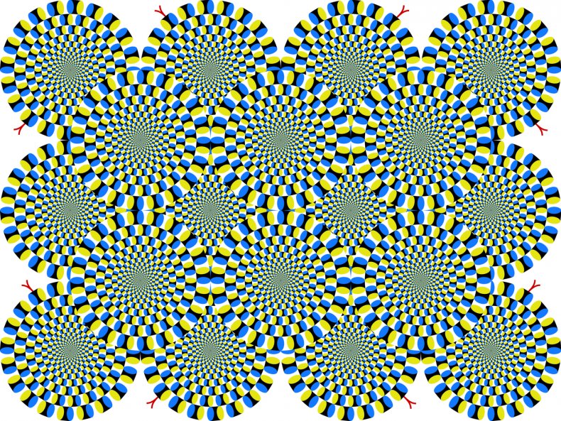 Rotating Snakes artwork by Akiyoshi Kitaoka.