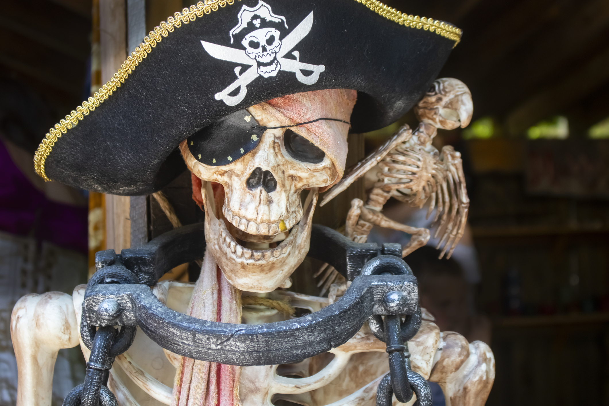 House Transformed Into Incredible Spooky Pirate Shipwreck for Halloween