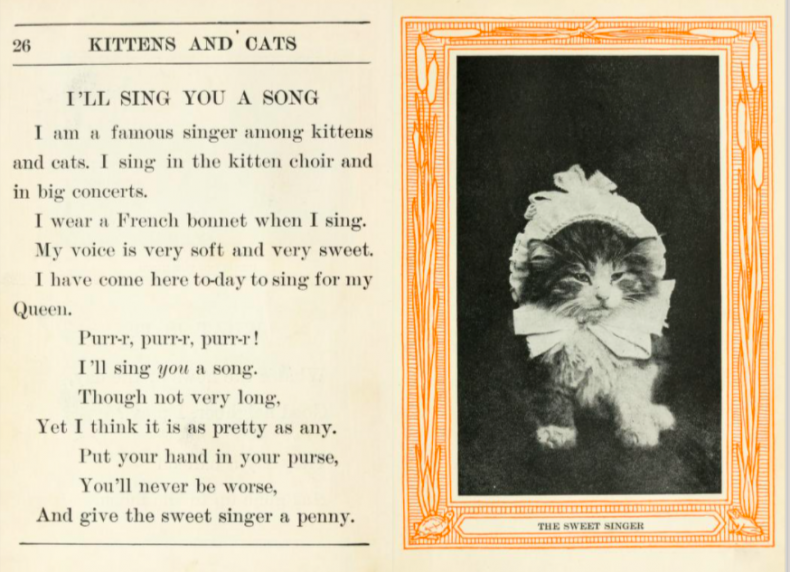 101-year-old children's book with cats