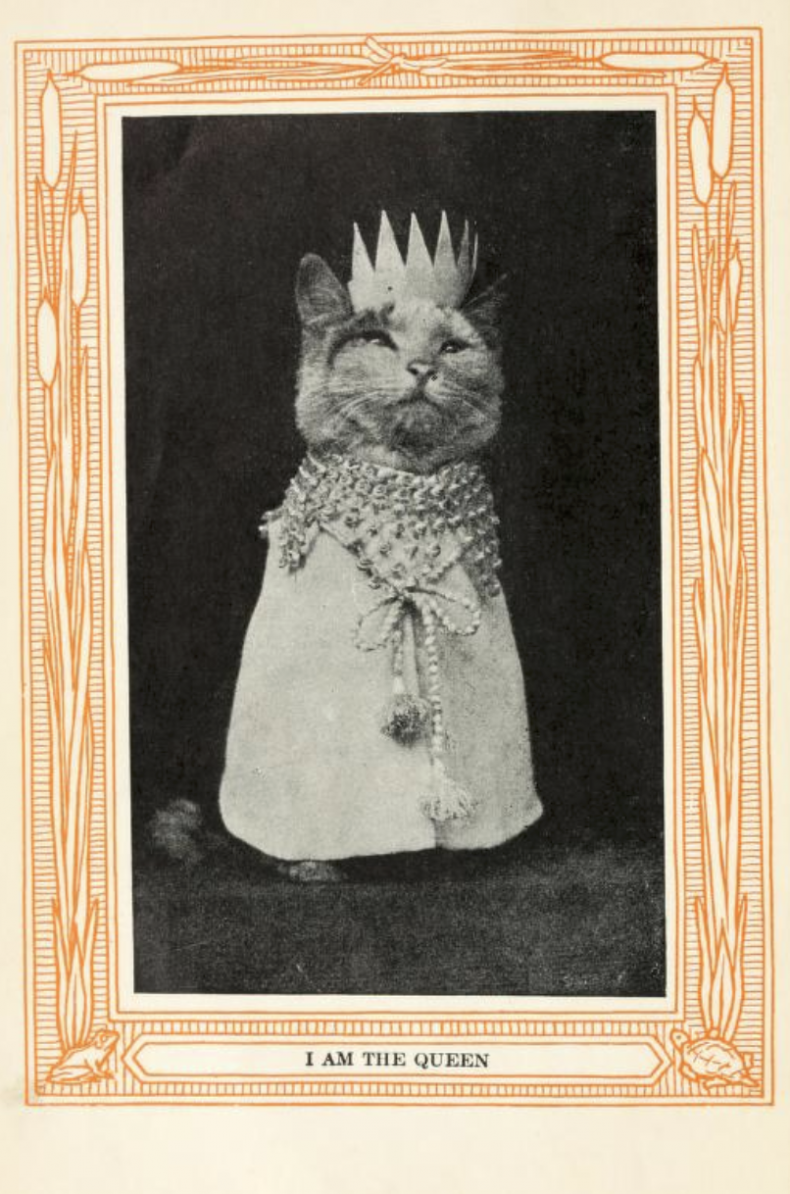 The Queen Cat Children's Book