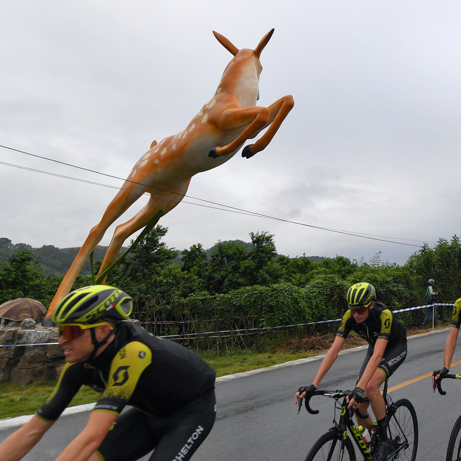 Deer Riding
