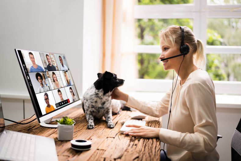 Woman and dog on video call