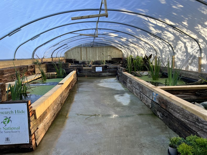 Turtle Sanctuary
