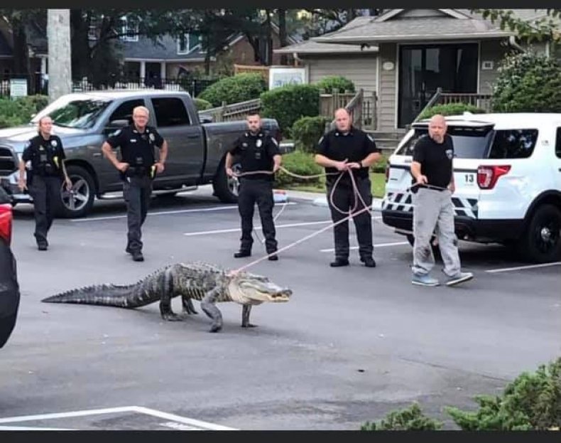 alligator and police officers
