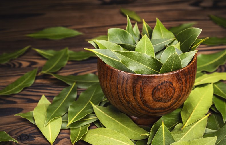 Fresh bay leaves in wooden bowl.