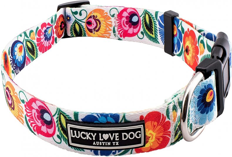 Lucky Love Female Dog Collar