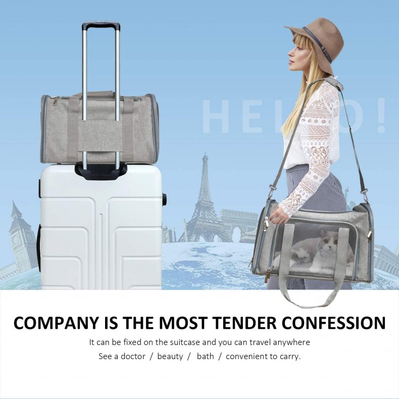 Henkelion Pet Carrier