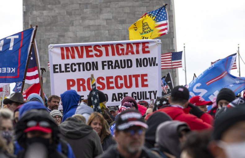 Crowds Attend a Stop the Steal Rally