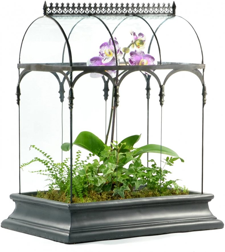 H Potter Terrarium
