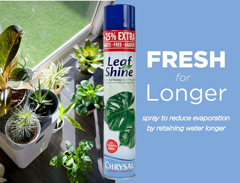 Chrystal Leaf Shine Spray