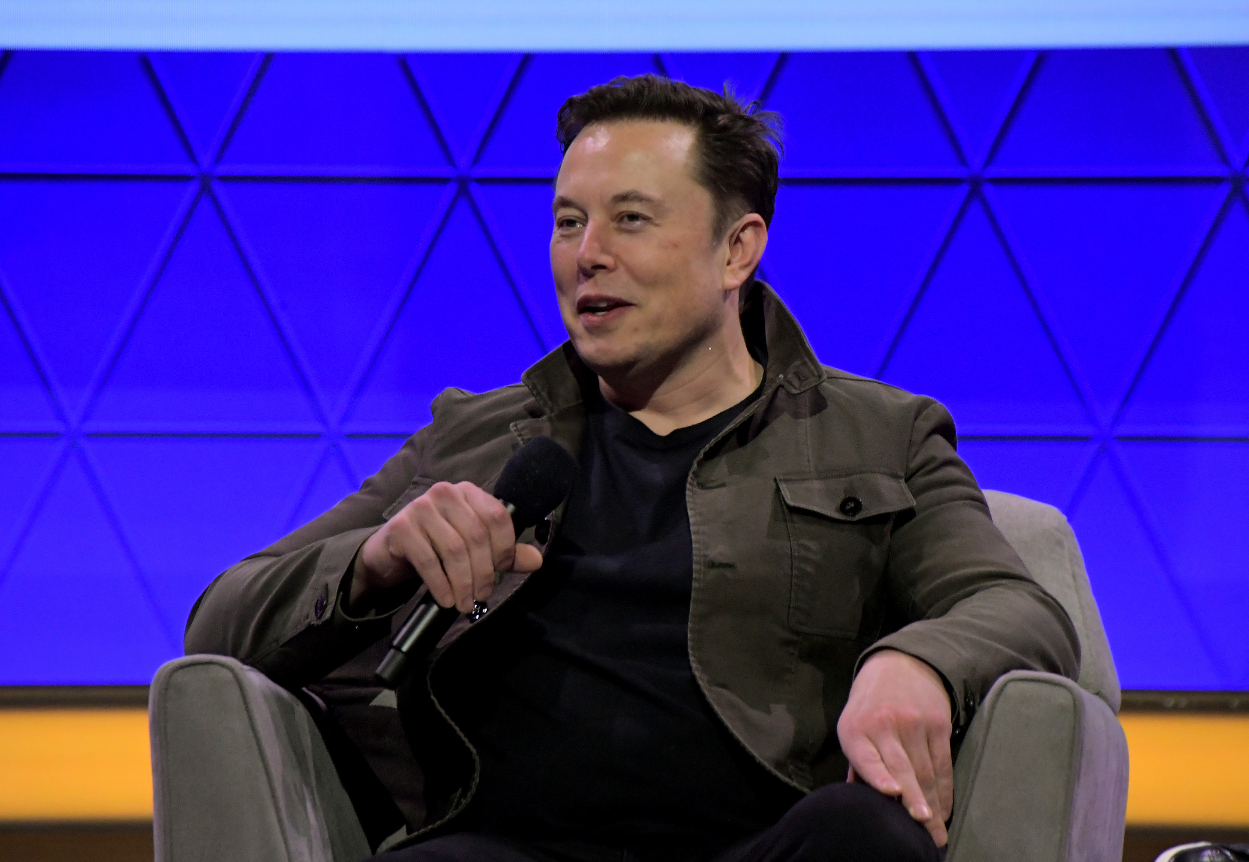 Elon Musk Says He Supports Doge Because It 'Felt Like The People's ...