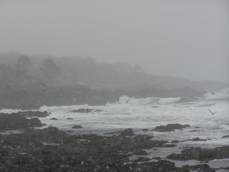 A stormy coast