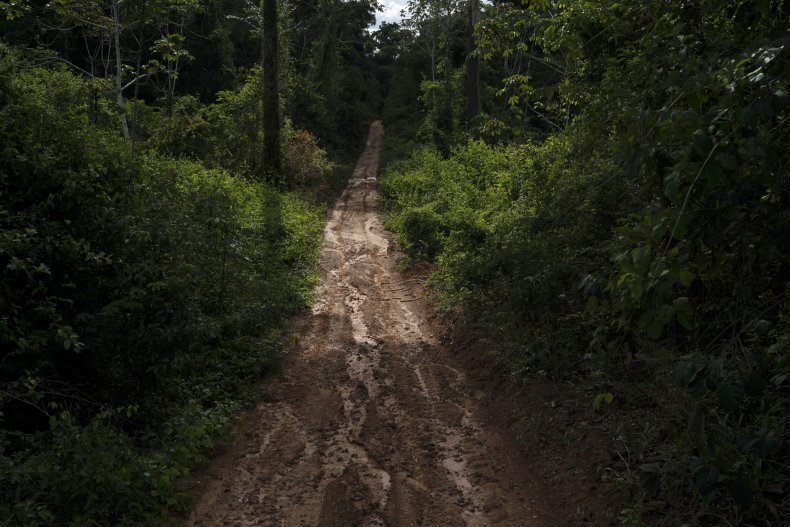 Amazon Deforestation