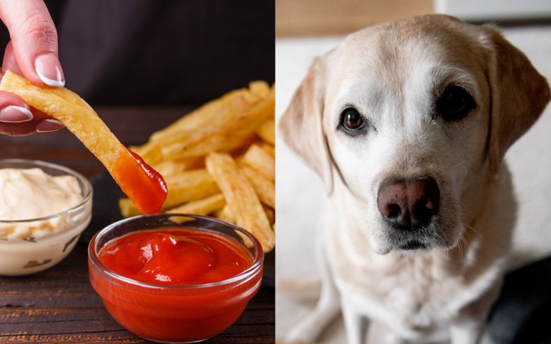 A dog and a french fry.