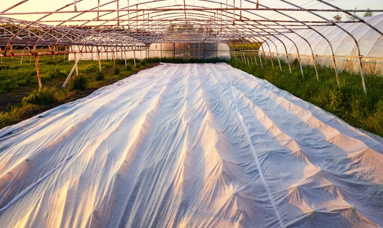 Row cover over plants on a farm.