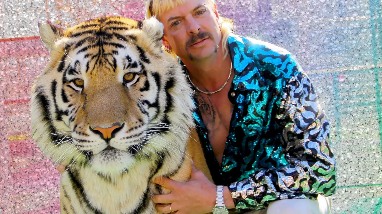 Where Are Joe Exotic's Tigers and Animals Now?