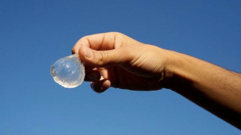 Edible Water Bottles