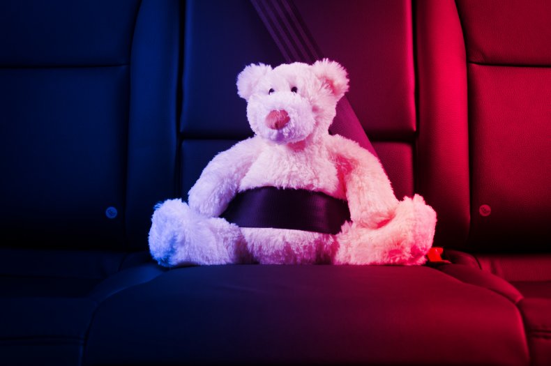 File photo of teddy in police car.