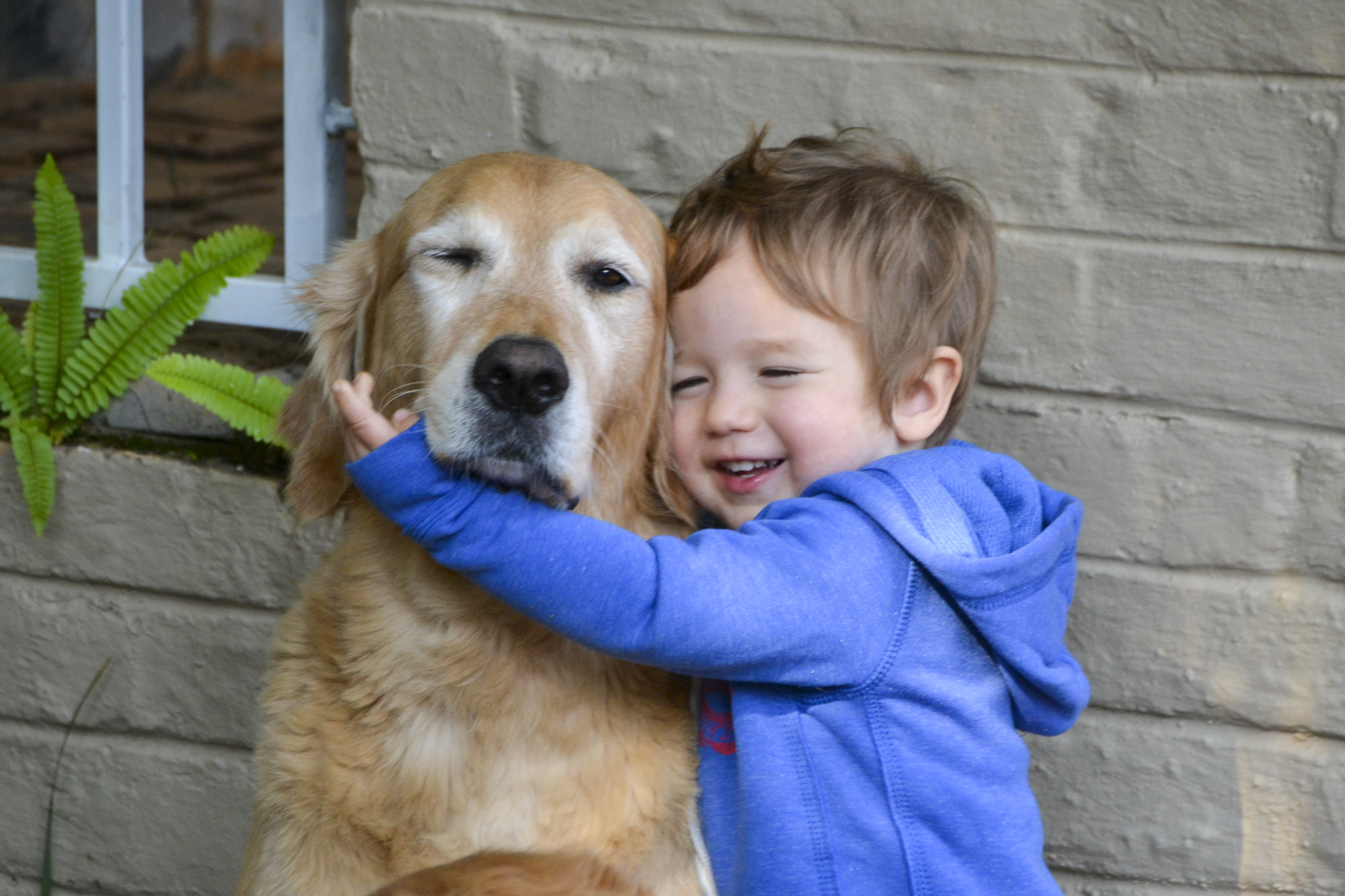 Dog Meets Baby