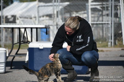 Rescue worker with cat Rescue worker with cat